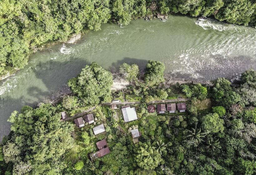 هتل Playa Selva Lodge