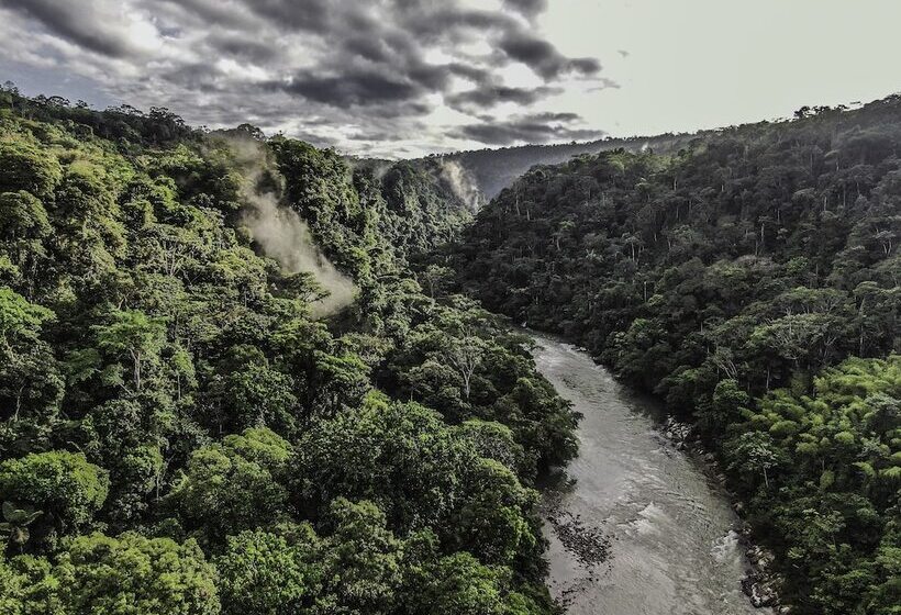 هتل Playa Selva Lodge