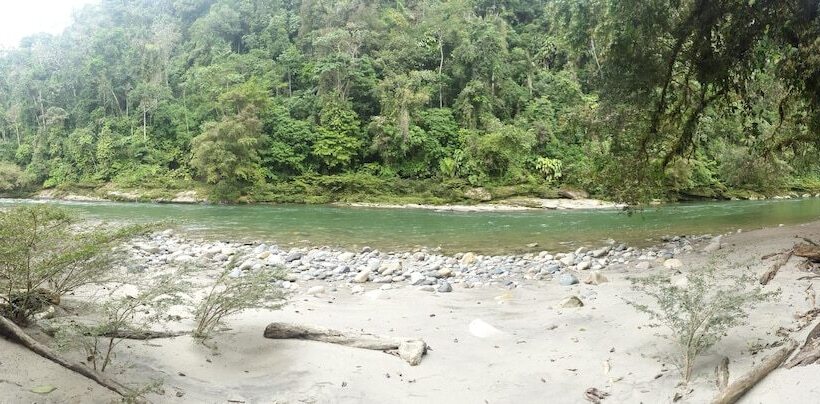 هتل Playa Selva Lodge