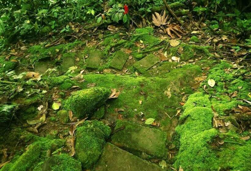 هتل Playa Selva Lodge