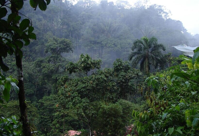 هتل Playa Selva Lodge