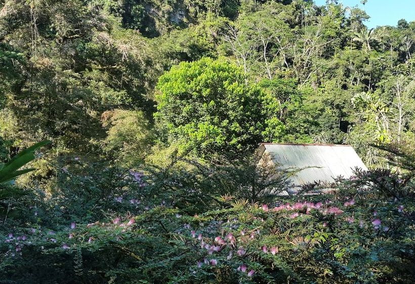 هتل Playa Selva Lodge