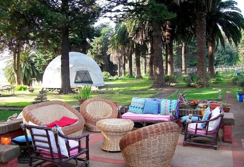 ホテル Posada Del Parque Lodge