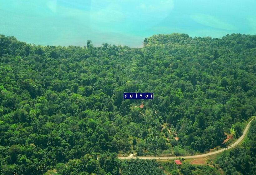 ホテル Suital Lodge