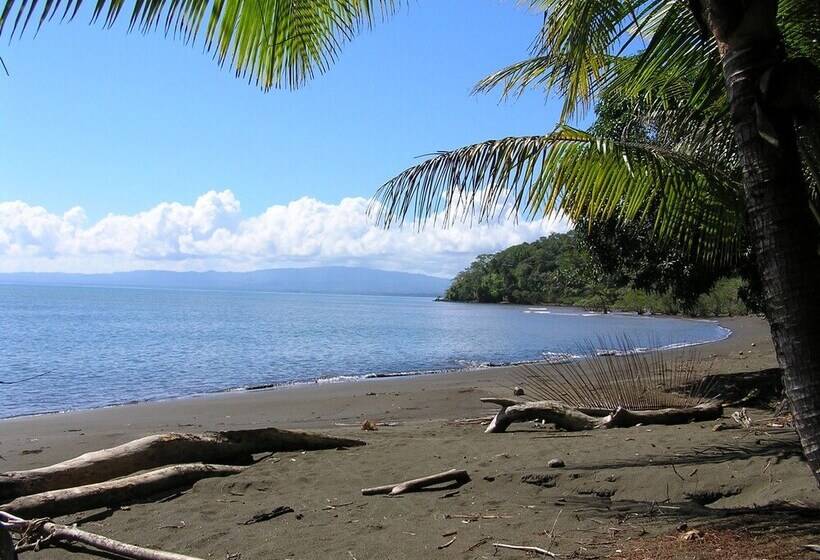 ホテル Suital Lodge