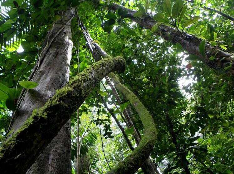 ホテル Suital Lodge