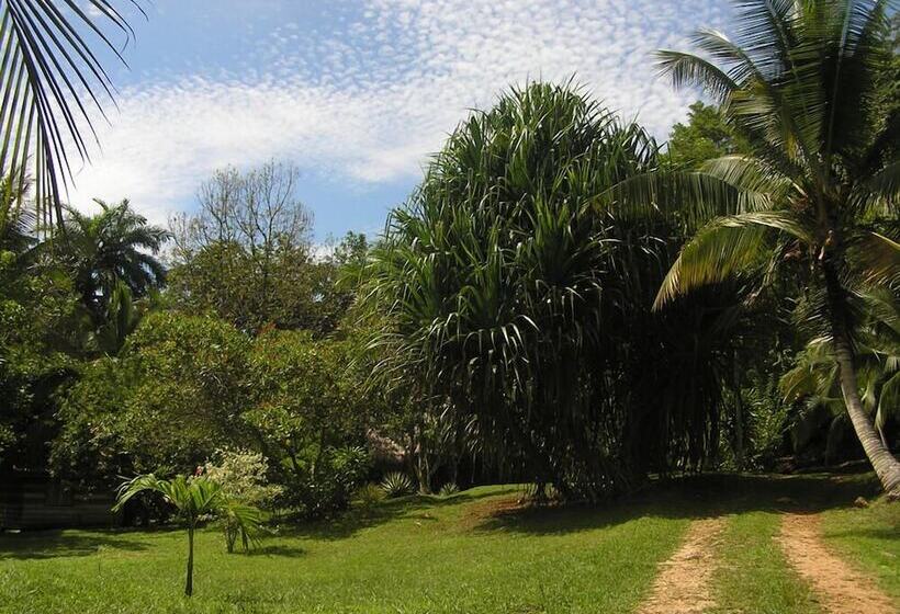 ホテル Suital Lodge