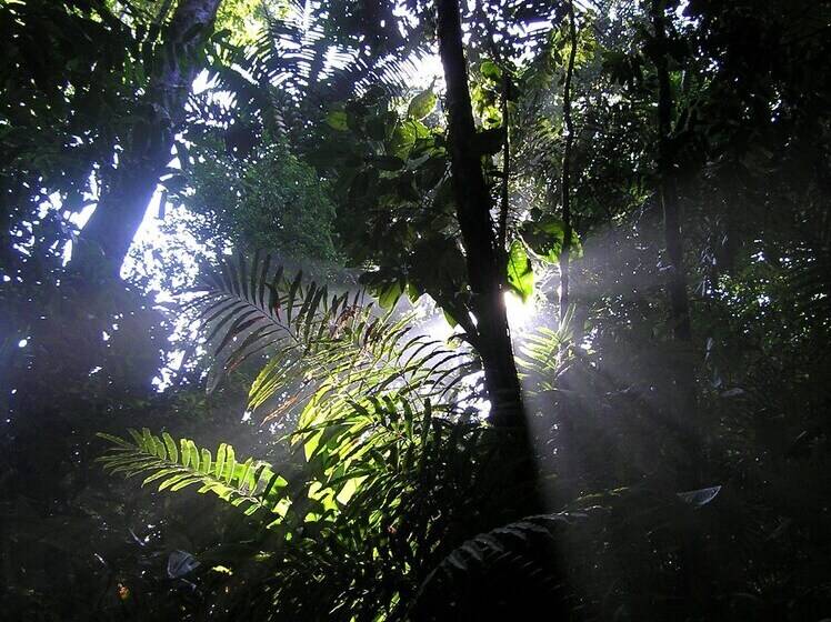 ホテル Suital Lodge