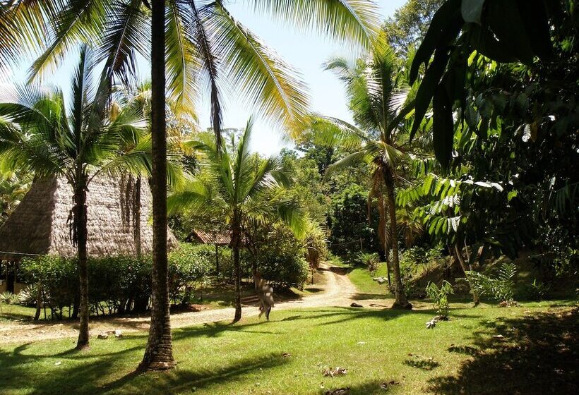 ホテル Suital Lodge