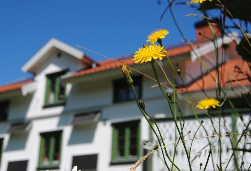 Отель Tingvall B&b Eco Lodge