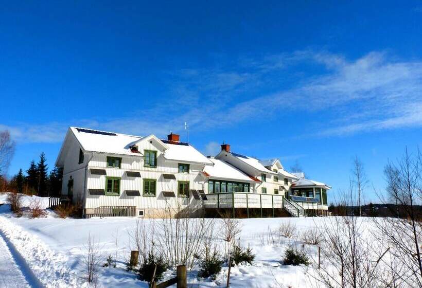 Отель Tingvall B&b Eco Lodge