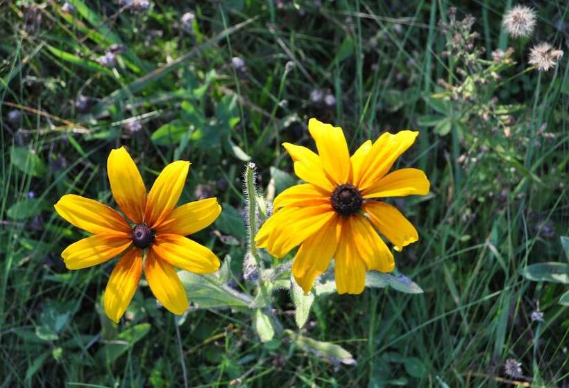 فندق Willoburke Boutique Inn & Nordic Spa