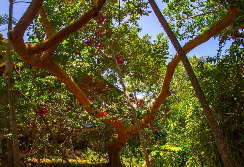 هتل Yacumaman Sanctuary