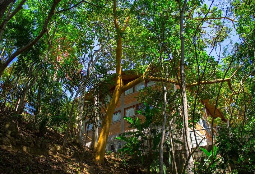 هتل Yacumaman Sanctuary