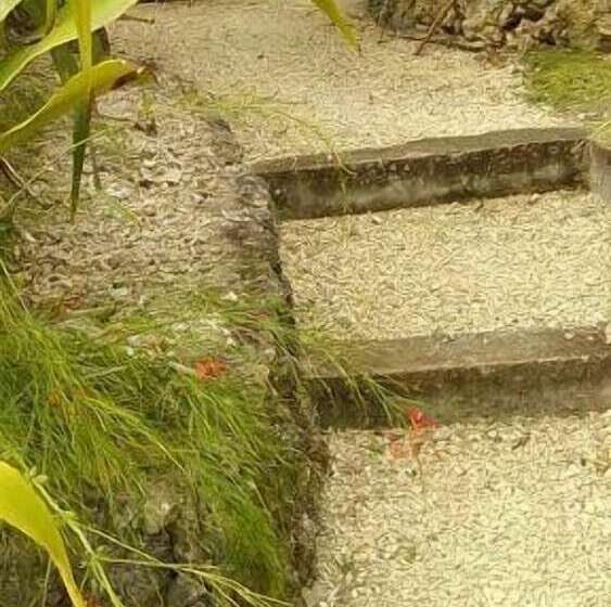 هتل Ripples On The Bay   Adults Only