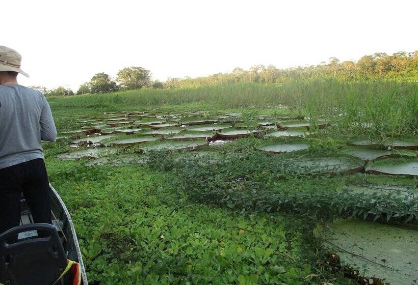 هتل Curassow Amazon Lodge