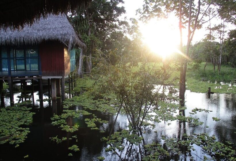 هتل Curassow Amazon Lodge