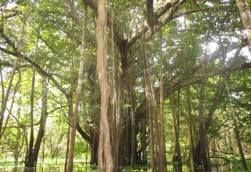 هتل Curassow Amazon Lodge