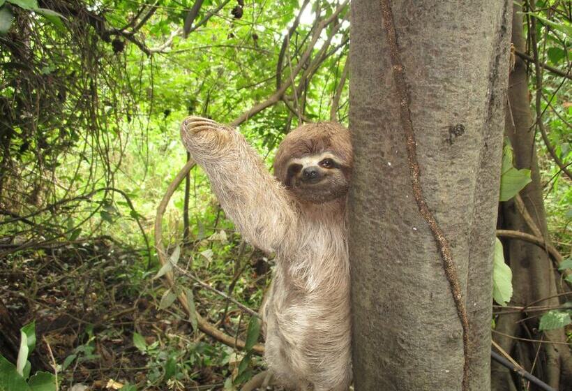 هتل Curassow Amazon Lodge