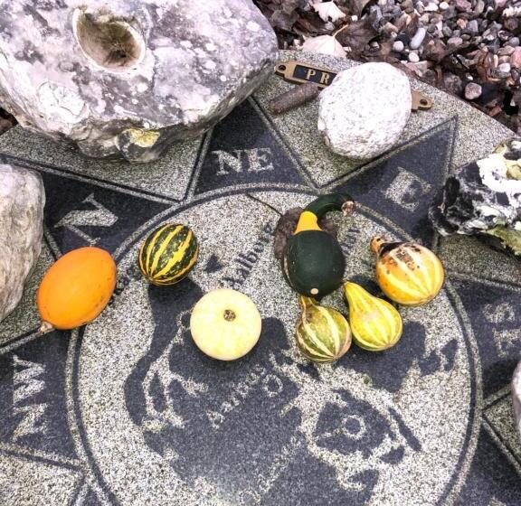 בית מלון כפרי Holmegaarden B & B K