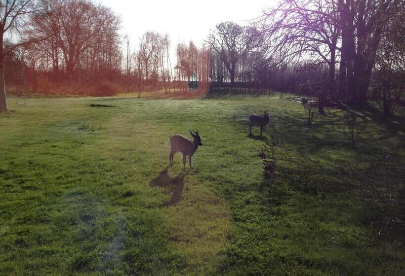 בית מלון כפרי Holmegaarden B & B K