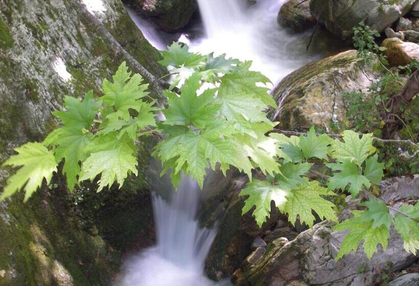 酒店 Mountain's Secret