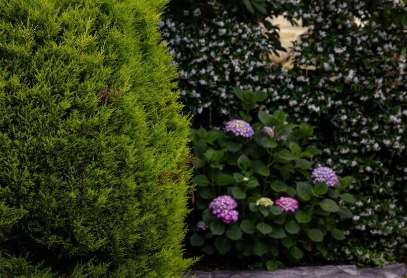 בית מלון כפרי Mountain's Secret