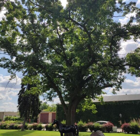 هتل Sandro Silver