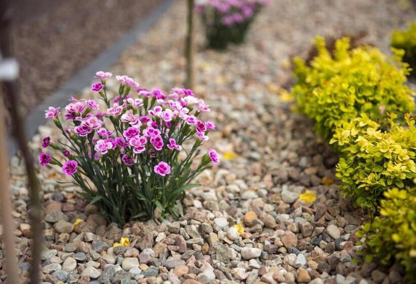 هتل Villa Andalucia Spa & Leisure