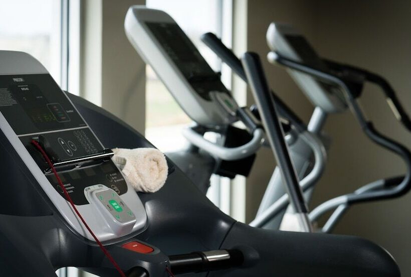 Malana Hotels & Suites