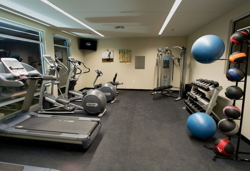 Malana Hotels & Suites