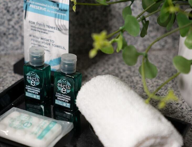 Malana Hotels & Suites