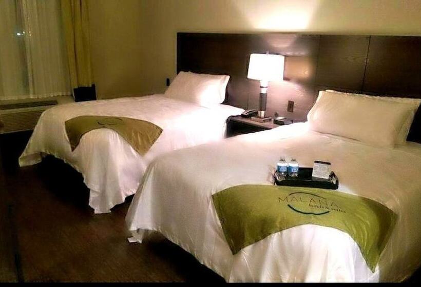 Malana Hotels & Suites