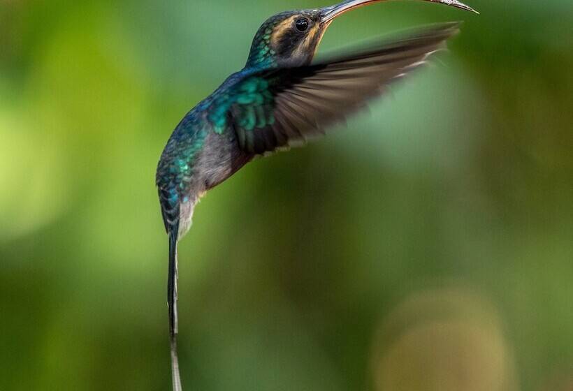 בית מלון כפרי Casa De Hacienda Su Merced