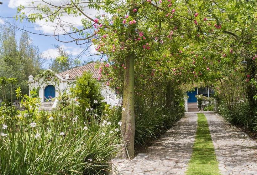 בית מלון כפרי Casa De Hacienda Su Merced