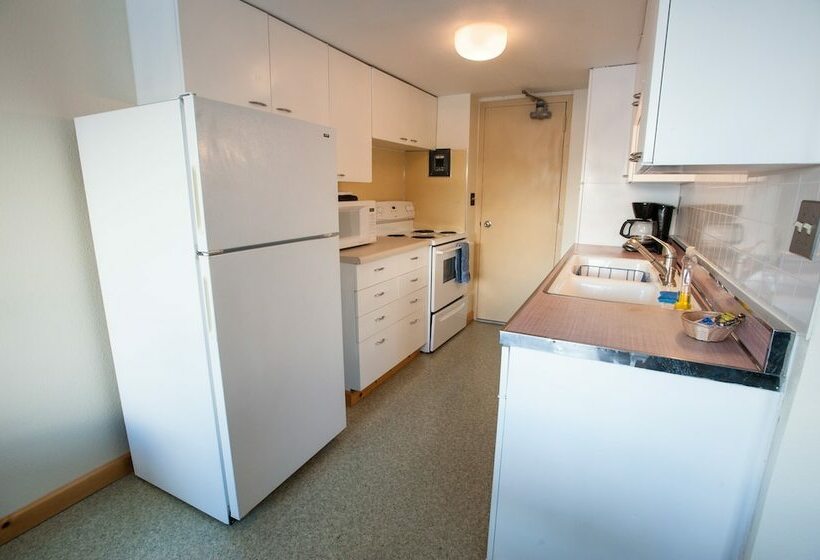 Отель Glacier View Condo Suites