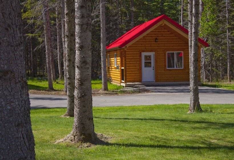 فندق Jasper East Cabins