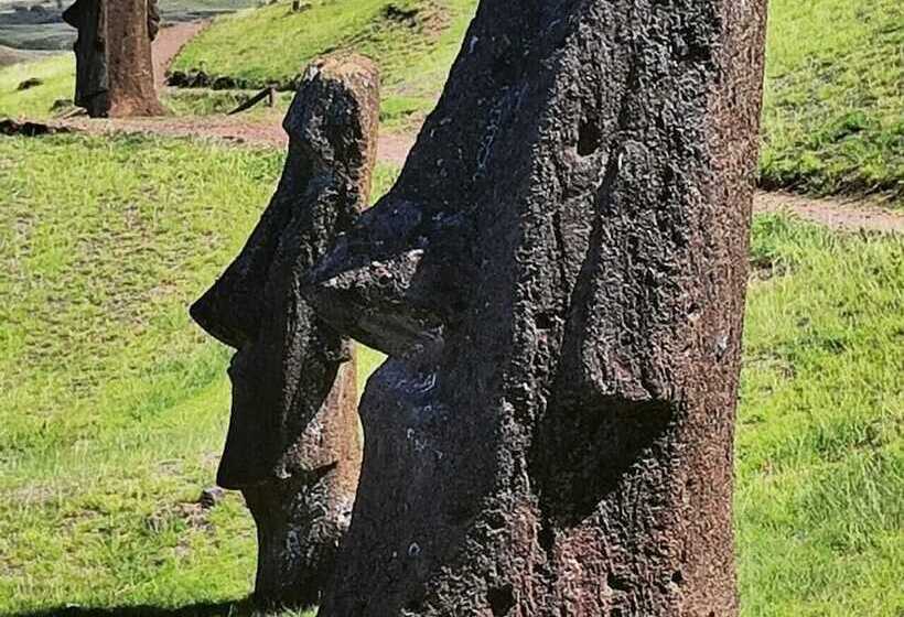 호텔 Cabañas Mana Nui Inn