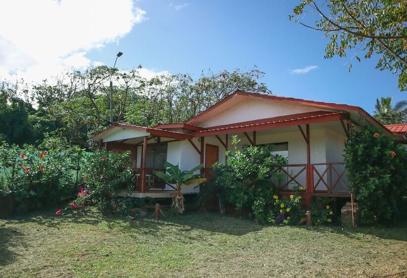 호텔 Cabañas Mana Nui Inn