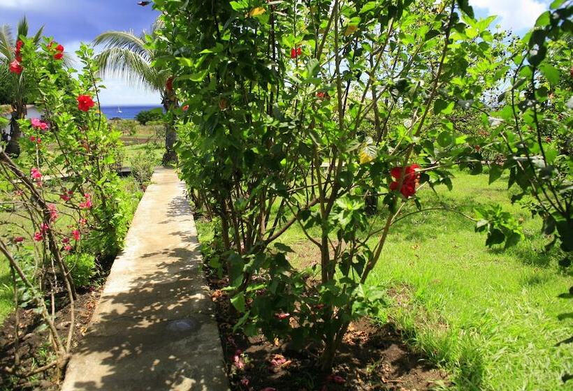 호텔 Cabañas Mana Nui Inn