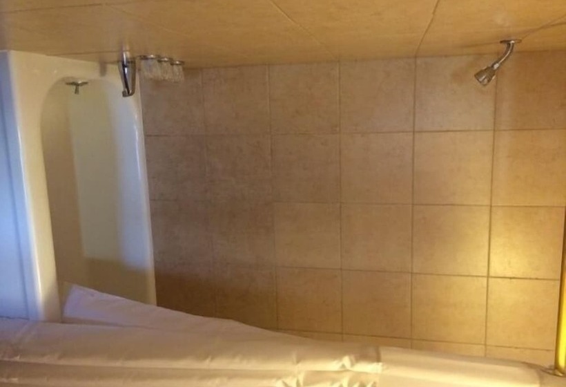 فندق Pink Fountain Motor Inn