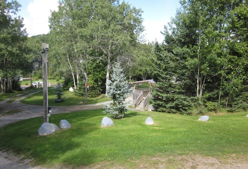 فندق Skyline Cabins