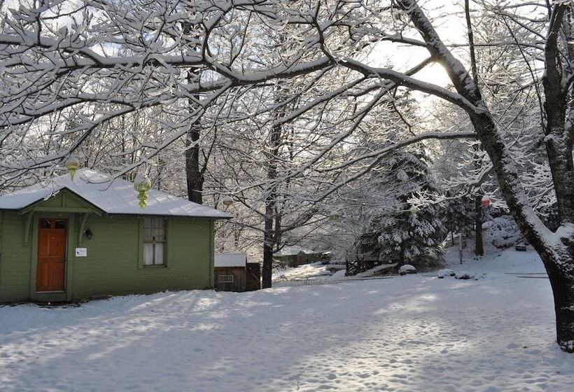 فندق The Woods Lodge