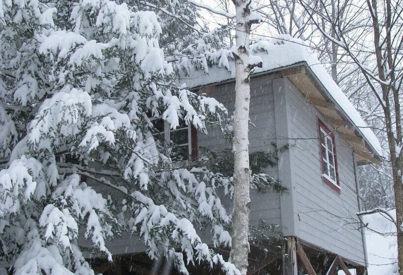 فندق The Woods Lodge