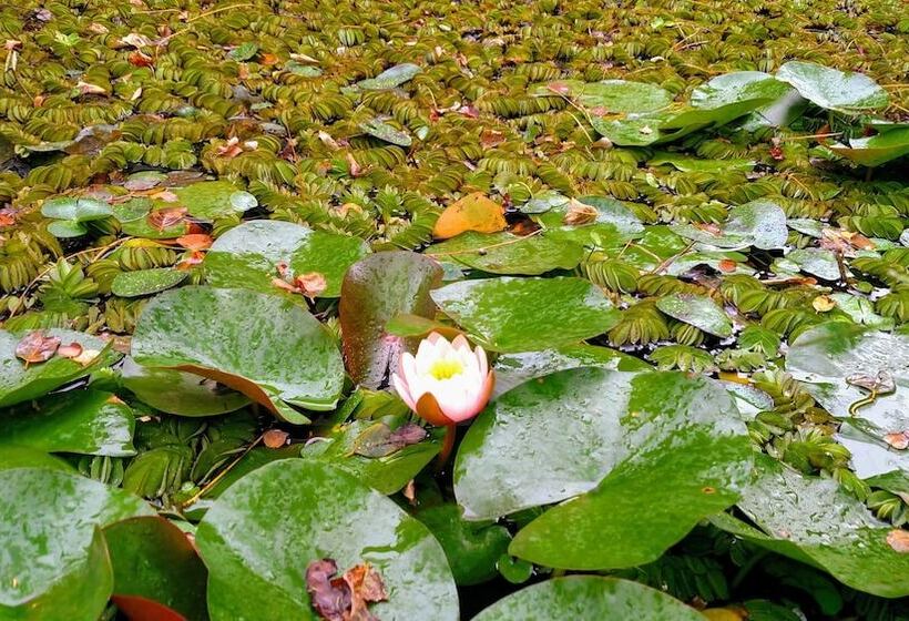 هتل Naike Casa De Huespedes