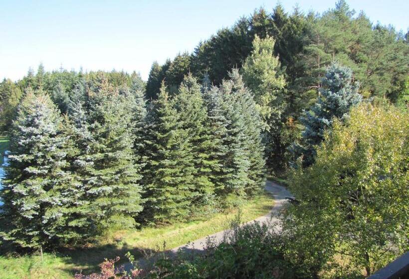 호텔 Gästehaus Rehwinkel