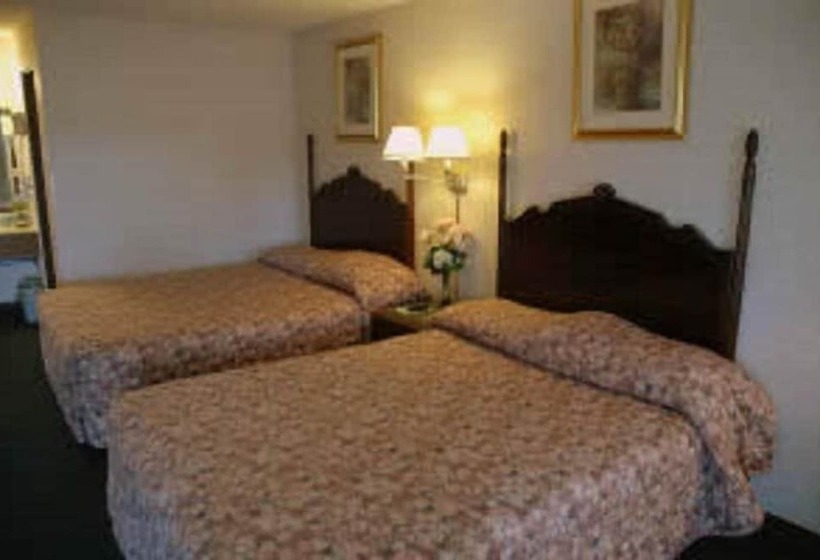 فندق Lakeview Inn