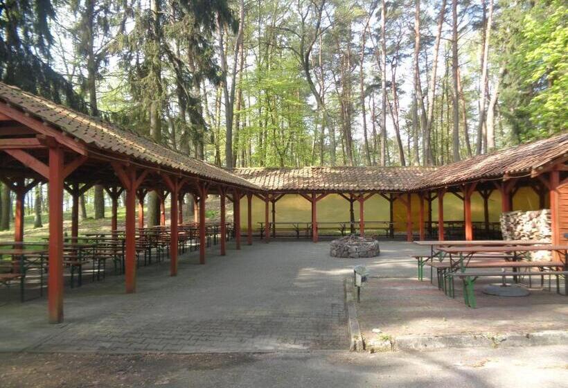 Отель Ow Inter Piast Kalbornia   Z Własną Plażą Z Kąpieliskiem I Przystanią