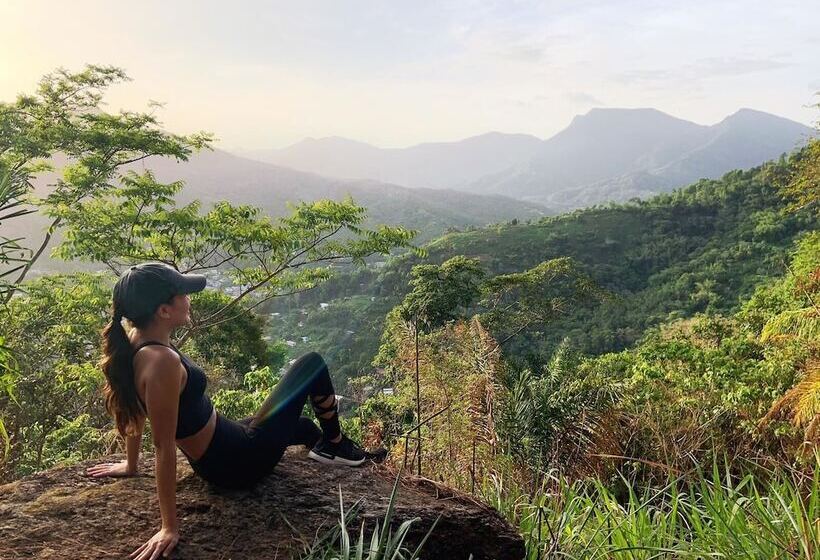 Отель Pax Guest House