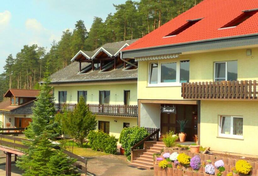 فندق Pension Tannenhof